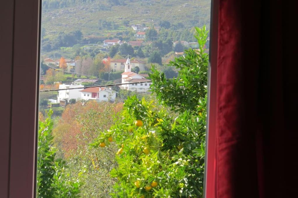 Sweet Home Braga - 4 Rooms Apartment Exterior photo